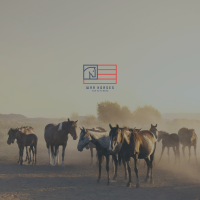 Veterans Day - Image Post (3)