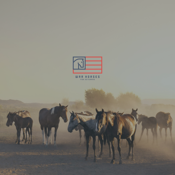 Veterans Day - Image Post (3)