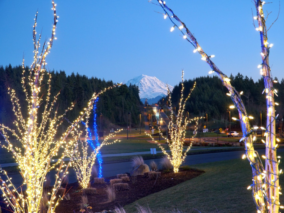 318346067_1132411254114387_2308166673721122070_n